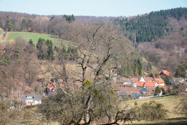 Blick auf Höllerbach