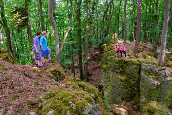 Wandern durch den Wald beim Hochberg