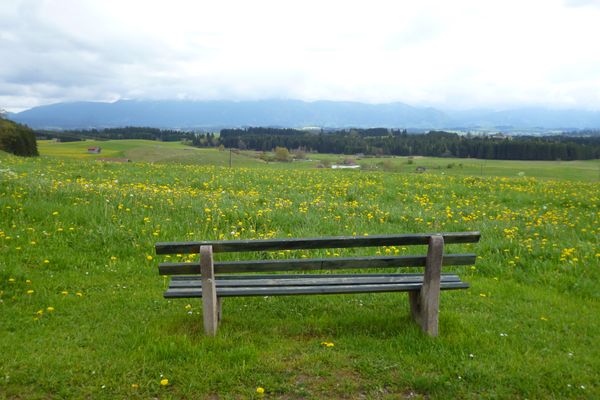 Wenig östlich von Bernbeuren bietet sich ein grandioses Bergpanorama.