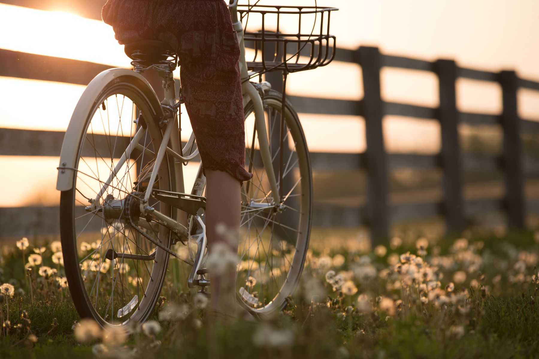 Bergstrae Odenwald: Plattfu  Fahrrad- und E-Bike-Werkstatt