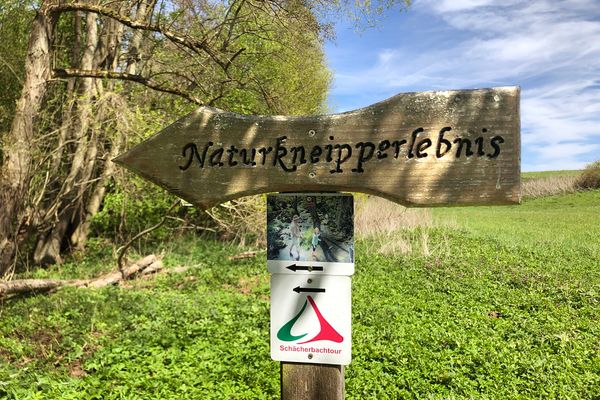 Ein einfaches Holzschild mit der Aufschrift Naturkneipperlebnis. Darunter ein Bild zum Naturkneippen, auf dem ein Mann und ien Kind mit nackten Beinen im Flusslauf stehen. Darunter die Wegemarierung der Schächerbachtour.
