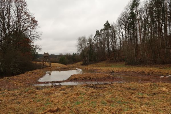 Feuchtbiotopkette im Nord-Osten des Gebiets im Januar 2024