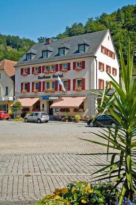 Hotel Gasthof Merkel