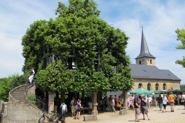Die Tanzlinde in Peesten