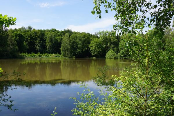 Unterwegs auf dem Rundwanderweg HeinzemannTour führt der Weg durch Waldgebiete, vorbei an Teichen, Feldern und Wiesen zum Geotop Heinzemann. Der Basaltriese, der an den Kopf des Heinzemannes erinnert, ist Namensgeber des Wanderweges.