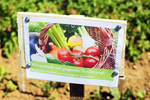Ein Schild mit verschiedenen Gemüsesorten.