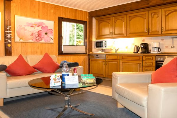 Wohnraum mit Sofa, Sessel und Couchtisch vor einer Küchenzeile mit Holzschränken.