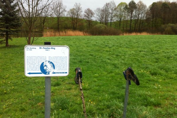 Informationstafel sieben am Streicherweiher