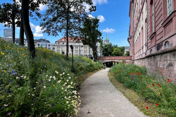 Weg entlang einer Wiese mit Wildblumen neben einem roten Backsteingebäude unter blauem Himmel mit vereinzelten Wolken