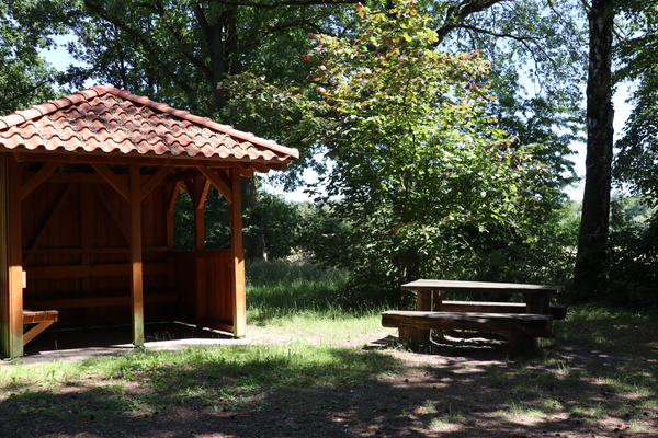 Grill- und Picknickplatz mit Hütte und Sitzbänken im Park Allerhop