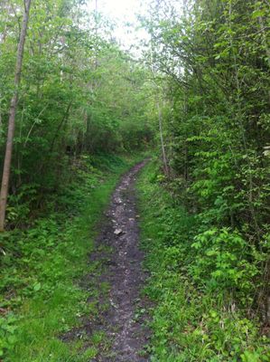 Romantische Wege führen uns nach Buchen.