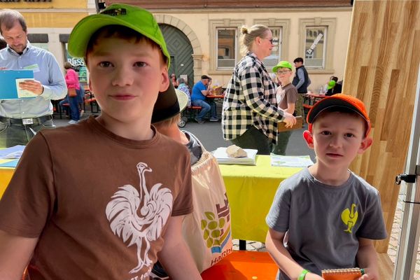 Junior Ranger am Stand