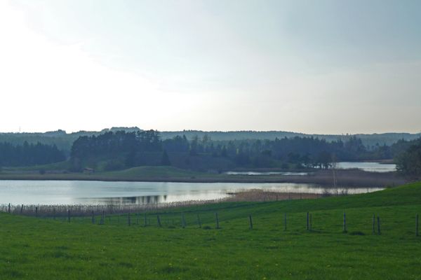 Weiter Blick von Iffeldorf über Seng- und Fohnsee.