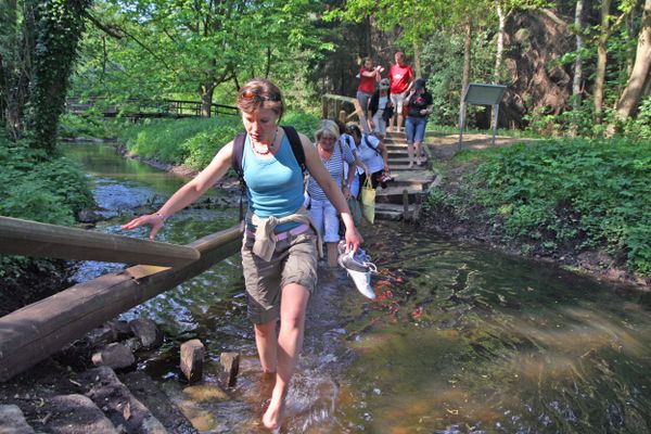 Besucherinnen und Besucher gehen barfuß durch das Wasser auf dem Vierhunder-Wasser-Barfußpfad.