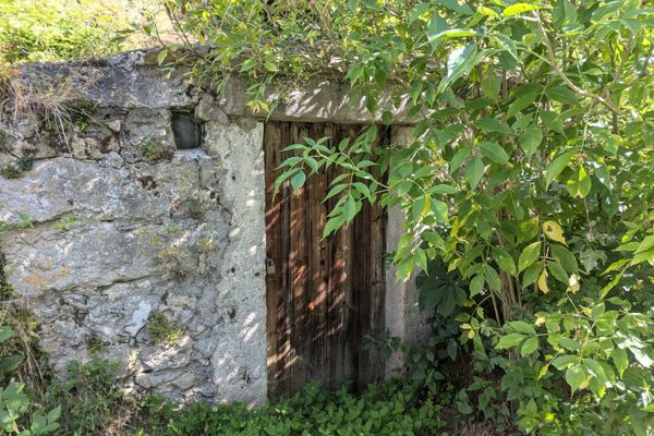 Über Berg und Tal zum „Oberailsfelder Radler“