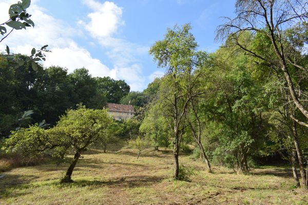 Kantorsgarten am Sulzbürg