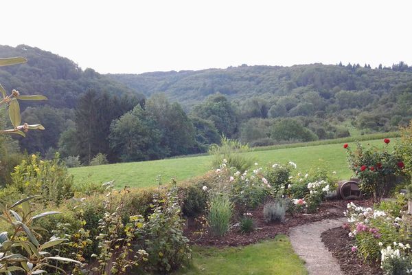 Ausblick