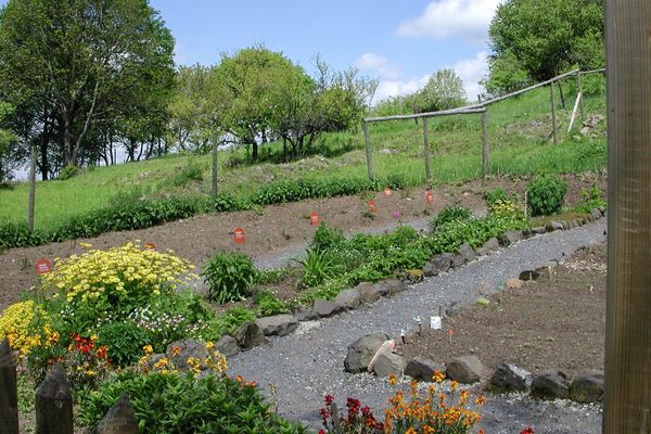 Ein kleiner Schotterweg, gesäumt von Basaltsteinen, führt durch ein Kräuterbeet. Auf den Parzellen stecken allerlei rote Schilder im Erdreich. Im Vordergrund blühen bunte Blumenstauden hinter einem Holzzaun. Weiter hinten sind Bäume auf einer hanglagigen Wiese zu sehen.