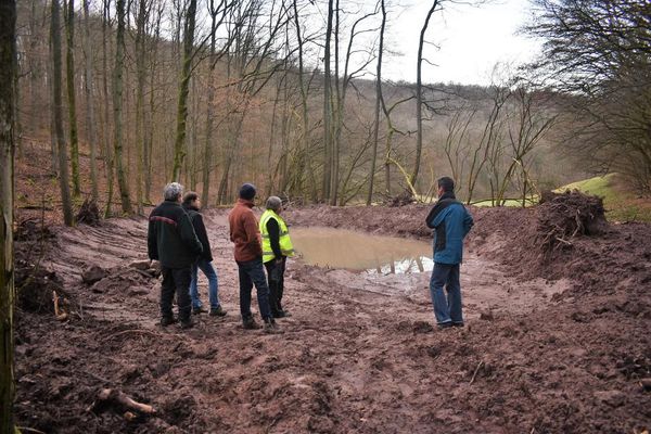 neu angelegtes Feuchtbiotope bei Krum Jan. 2020