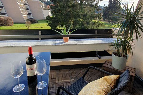 Auf dem Balkon stehen zwei Grünpflanzen, ein Rattansessel und ein Tisch mit einer Flasche Rotwein und zwei Gläsern. Der Blick geht auf einige hohe Bäume und eine Rasenfläche neben einer Apartmentanlage sowie den dahinterliegenden Wald.