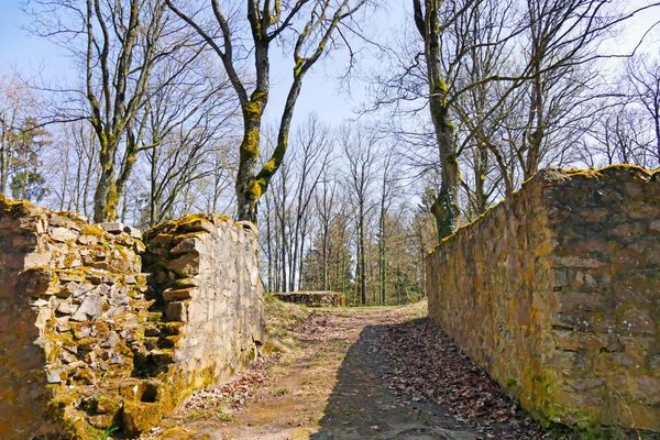 Burg Schnellerts