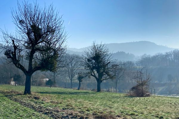Unsere herrliche Umgebung - der schÃ¶ne Odenwald