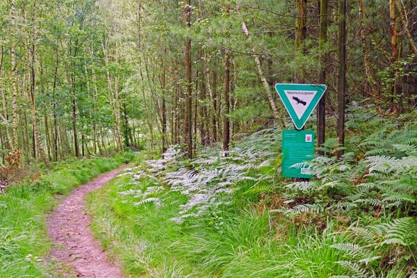 Naturschutzgebiet Rotes Wasser
