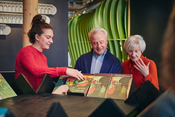 Eine junge Frau erklärt einem älteren Paar anhand drehbarer Bilder viel Interessantes.
