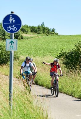 Das Bild zeigt Radfahrer. Sie fahren auf einem Radweg.