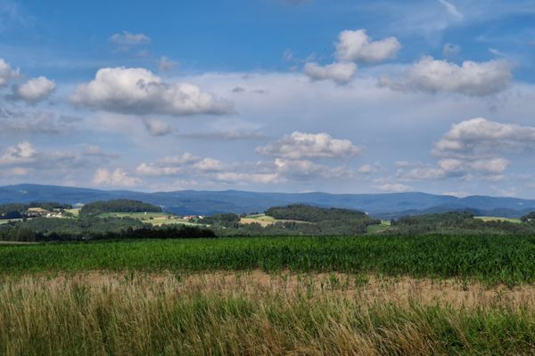 Hinter hohem Gras liegt ein Feld. Dahinter folgen einige Ortschaft, verstreut zwischen Wiesen und Waldstücken. Am Horizont erstreckt sich eine sanfte, bewaldete Hügelkette.