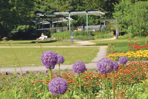 Blühende Beete im Kurpark Bad Bevensen