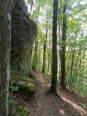 #5 Auf dem Franken- und Marienweg