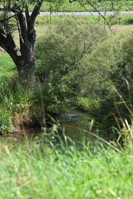 Entlang der Leinleiter