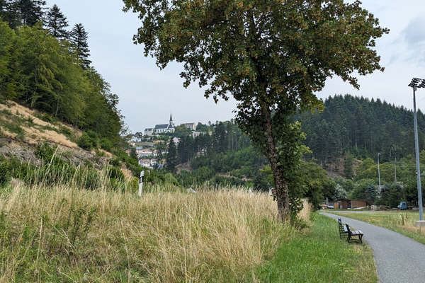 Das Bild zeigt im Vordergrund den Fahrradweg, dieser führt nach Wilhelmsthal. Im Hintergrund sieht man die Ortschaft mit Kirchturm.