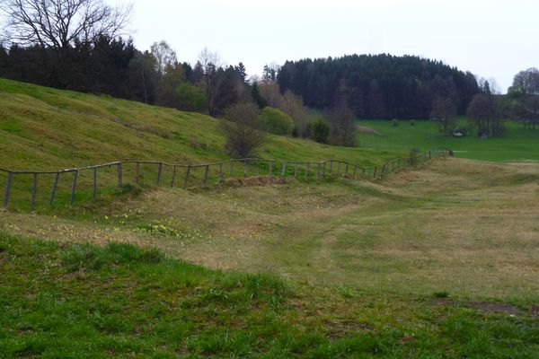 Ein unscheinbarer Wiesenpfad führt durch das Natura 2000-Schutzgebiet Grasleitner Moorlandschaft nach Oberhausen.