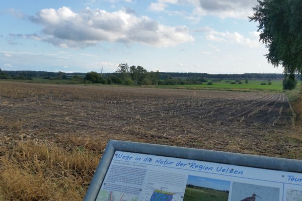 Infotafel mit Informationen zu den Bodenteicher Seewiesen und ihrer Tier- und Pflanzenwelt.