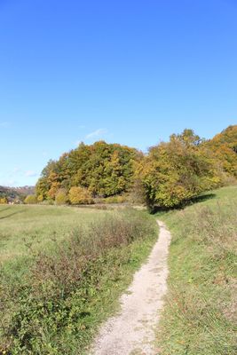 370_202110WiesenwegnheMostviel21_900