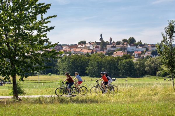 Eine Gruppe von vier Radfahrern fährt von rechts nach links im Vordergrund duch das Bild. Der gerade verlaufende Radweg geht durch grüne Wiesen und Felder. Am linken Bildrand steht ein großer, grüner Laubbaum, am rechten ein kleiner. Im Hintergrund steigt nach einer Baumreihe die kleine Stadt Herbstein auf einem Bergrücken emport. Im Zentrum sind deutlich zwei Kirchtürme und ein Turm der Stadtmauer zu erkennen.