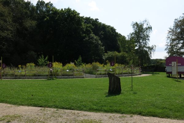 Großer Außenbereich mit grüner Wiese und verschiedenen Pflanzbeeten im Hintergrund. An mehreren Stellen befinden sich Infotafeln mit teilweise interkativen Elementen.