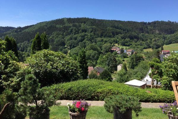 Ausblick