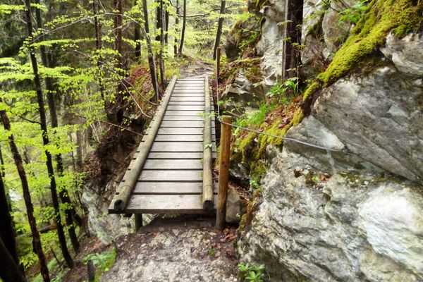 Auf dem schmalen Pfad durch die Ammerschlucht müssen zahlreiche schmale Stege überquert werden.