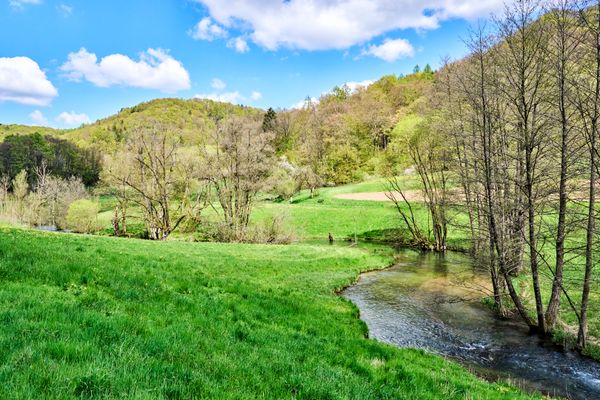Durch eine Landschaft mit saftig grüner Wiese und Bäumen, die langsam grüne Triebe bekommen, schlängelt sich ein Fluss - die Trubach - seinen Weg.