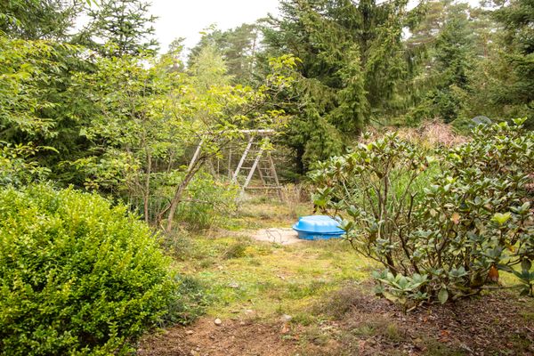 Garten mit Sträuchern und Bäumen, im Hintergrund ein Spielgerüst und eine kleine blaue Abdeckung auf dem Boden.