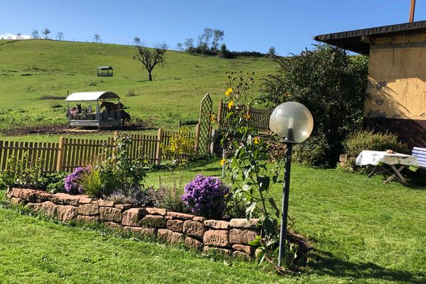 Garten