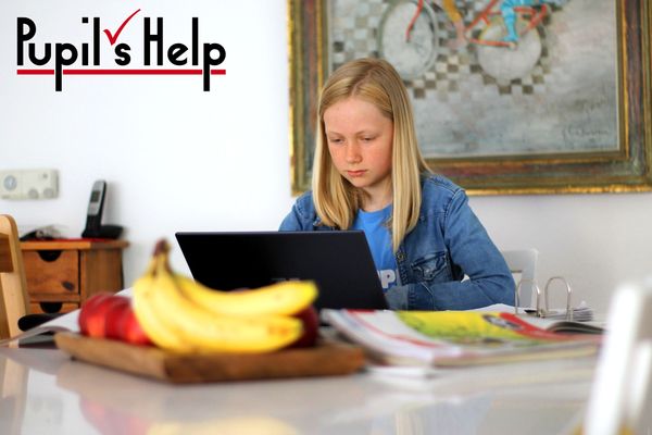 Pupils_Help_Nachhilfe_Darmstadt_Onlinenachhilfe_3