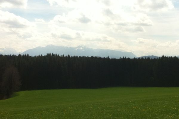 Hinter dem Waldgebiet erheben sich die Alpen majestätisch.