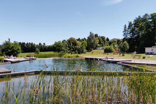 Eingebettet in eine traumhafte Landschaft aus Wiesen und Bäumen wirkt das Badebiotop fast wie ein natürlicher See. Am Ufer sind Holzstege und Sonnendecks zu sehen. Es ist sommerlich warmes Wetter.