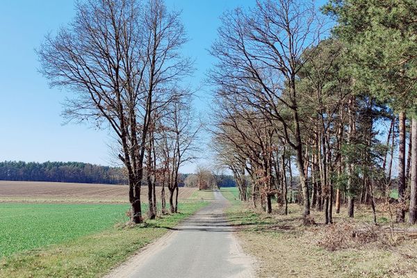 Teilweise asphaltierter Wirtschaftsweg am Waldrand zwischen Bruchtorf und der Ferienhaussiedlung „Große Heide“ bei Jelmstorf. Der Weg ist Teil des Klosterwegs.
