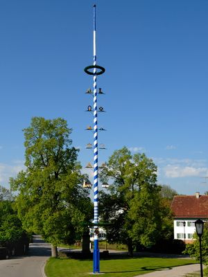 Eresinger Maibaum