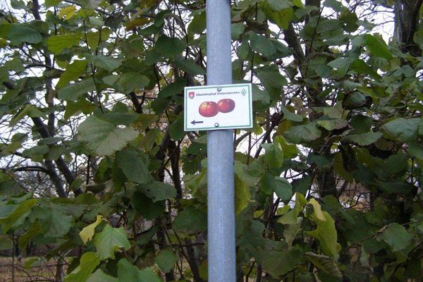 Obstlehrpfad Dieterskirchen